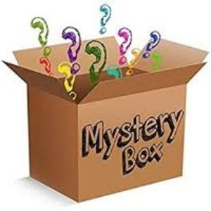Frozen Mystery Surprise Holiday Gift Box